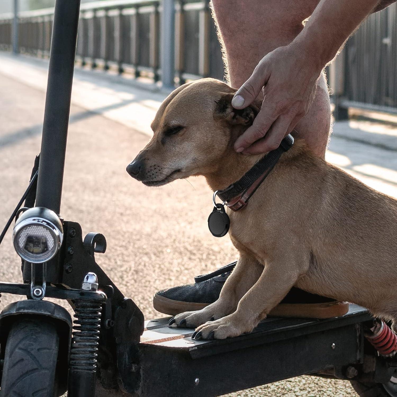 image:imageWaterproof Case for Airtag 2 Pack Air tag Keychain Holder Compatible with Apple AirTags Durable AntiScratches Protective Case with KeyringStrap for Luggage Backpack Dog Collar BlackCarbon Black2 Pack